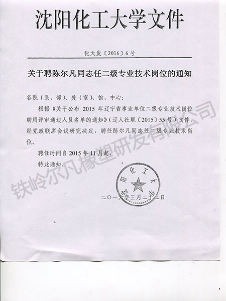 沈阳化工大学2级岗聘任通知
