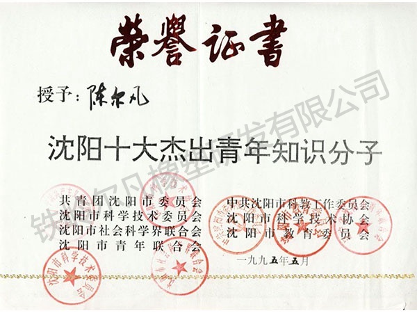 1995年沈阳十大杰出青年知识分子